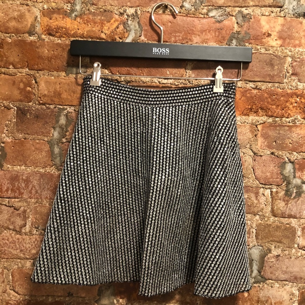 Zara Sequin Skater Skirt
